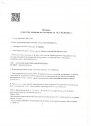Учредительные документы 0